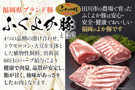 ふくよか豚肩ロースブロック約2kg 豚肩ロースブロック 豚肩ロースブロック肉 豚肉 肩ロース ブロック肉 豚ブロック肉 豚 ふくよか豚 トンテキ ステーキ しょうが焼き とんかつ チャーシュー ローストポーク 冷蔵便