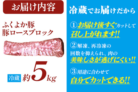 豚肉 ロースブロック約5kg ふくよか豚肉