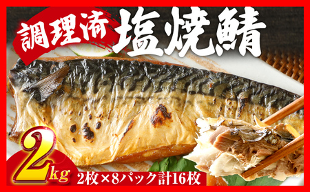 塩焼鯖 2枚×8P(約2kg) 大ぶり 調理済 レンチン 温めるだけ 脂のり 惣菜 晩御飯 おかず ジューシー 冷凍 お弁当 レンジ調理 自社製造 朝ごはん 和食 簡単調理 アレンジ