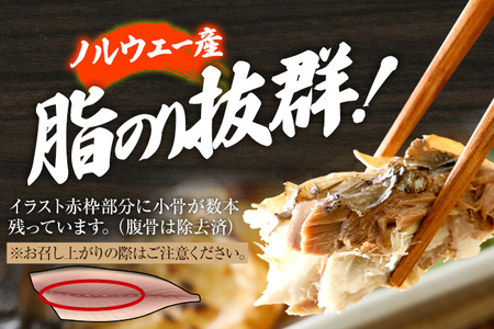 お試し 塩焼鯖6枚 大ぶり 調理済 レンチン 温めるだけ 脂のり 惣菜 晩御飯 おかず ジューシー 冷凍 お弁当 レンジ調理 自社製造 朝ごはん 和食 簡単調理 アレンジ