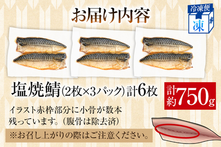 お試し 塩焼鯖6枚 大ぶり 調理済 レンチン 温めるだけ 脂のり 惣菜 晩御飯 おかず ジューシー 冷凍 お弁当 レンジ調理 自社製造 朝ごはん 和食 簡単調理 アレンジ