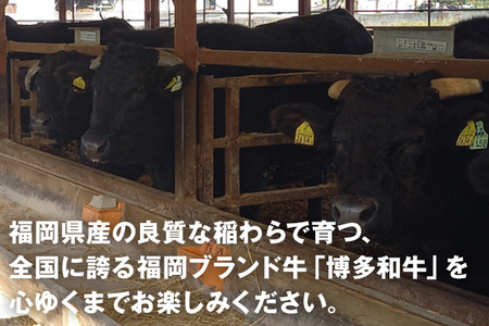 博多和牛生ハンバーグ140g×5個入 ハンバーグ 生ハンバーグ 博多和牛 お肉屋さん