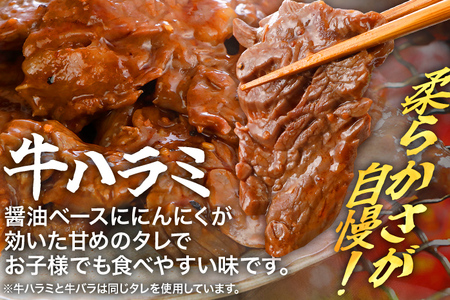 牛豚味付け焼肉セット 2.4kg 牛ハラミ 牛バラ 豚バラ 味付き 小分け 保存 醤油 にんにく タレ 子供 生姜 香味野菜 ネギ塩 キャンプ バーベキュー 福岡県 福岡 九州 グルメ お取り寄せ