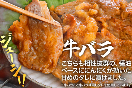 牛豚味付け焼肉セット 2.4kg 牛ハラミ 牛バラ 豚バラ 味付き 小分け 保存 醤油 にんにく タレ 子供 生姜 香味野菜 ネギ塩 キャンプ バーベキュー 福岡県 福岡 九州 グルメ お取り寄せ