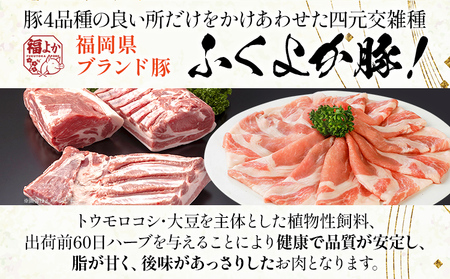 豚肉 福袋 【C】ふくよか豚肉 お試し日用セット