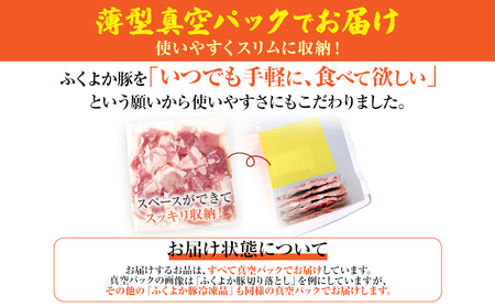 豚肉 福袋 【C】ふくよか豚肉 お試し日用セット