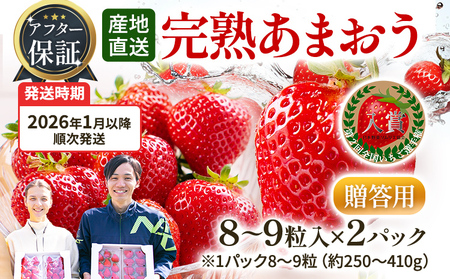 いちご あまおう アフター保証 8～9粒入り×2パック R8年1月以降順次発送 イチゴ 苺 果物