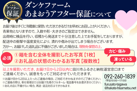 いちご あまおう アフター保証 8～9粒入り×2パック R8年1月以降順次発送 イチゴ 苺 果物