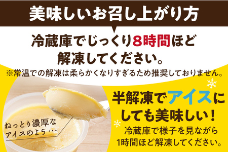 じっくり焼き上げた窯焼きカスタードプリン 12個 スイーツ デザート 冷凍 アイス カラメル 洋菓子 おやつ なめらか 卵 1個90g ティータイム