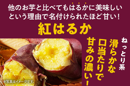 さつまいも 訳あり 紅はるか 5kg 焼き芋 サツマイモ 野菜