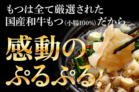 訳あり もつ鍋 醤油味 5人前 醤油 醤油味 国産牛小腸 国産もつ モツ 鍋 お土産 美味しい 豪華 贅沢 福岡県 福岡 九州 グルメ お取り寄せ