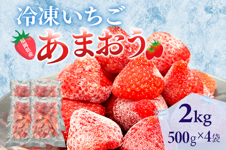 冷凍あまおう 福岡スイーツ自然の贈り物かわいい化粧箱入り 福岡県産