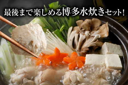 博多 水炊き セット 10人前 もも肉 つみれ 手羽元 鶏肉 鍋セット モモ肉 鶏もも肉