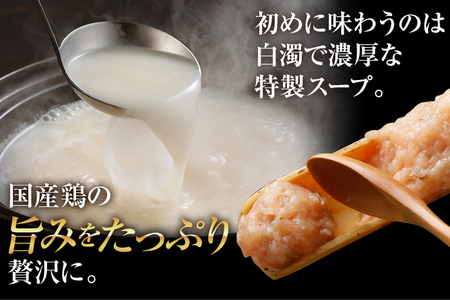 博多 水炊き セット 10人前 もも肉 つみれ 手羽元 鶏肉 鍋セット モモ肉 鶏もも肉