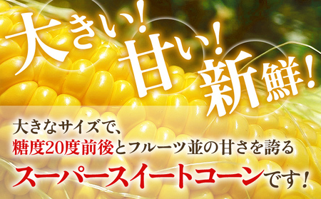 とうもろこし スイートコーン 3kg(6~9本)野菜 コーン スーパースイートコーン 採れたて 糖度20度 【2026年5月下旬頃より順次発送予定】
