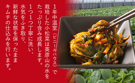 しる婆のメディカル小松菜キムチ 600g（200g×3パック） キムチ 小松菜 シャンパン おつまみ ご飯のお供 お酒 ヤンニョム 漬け物 唐辛子 発酵食品 おかず 福岡県 福岡 九州 グルメ お取り寄せ