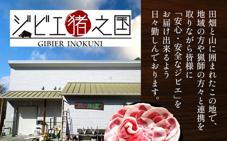 牡丹鍋 焼肉に ! 猪肉 薄切り スライス 200g × 3パック 小分け ジビエ いのしし 国産 天然 鍋 焼肉 グルメ お取り寄せ
