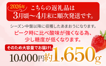 いちご あまおう 約275g×6パック R8年3月下旬以降順次発送 イチゴ 苺 果物