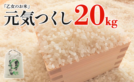 メール便送料無料05 ふるさと納税 令和4年産「乙女のお米」元気つくし