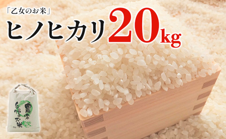 令和5年産「乙女のお米」ヒノヒカリ 20kg | 福岡県田川市 | ふるさと