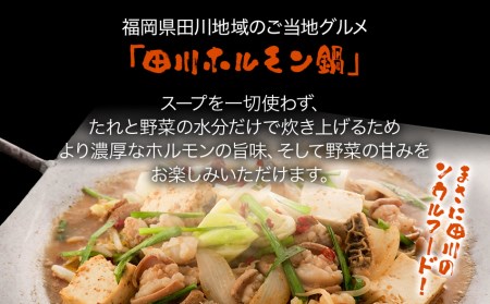 田川ホルモン鍋セット（冷凍）［4～5人前］