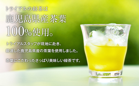 トライアルのお茶満載セット（緑茶2L×6本・烏龍茶2L×6本・緑茶500ml×24本）