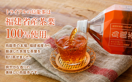 トライアルのお茶満載セット（緑茶2L×6本・烏龍茶2L×6本・緑茶500ml×24本）