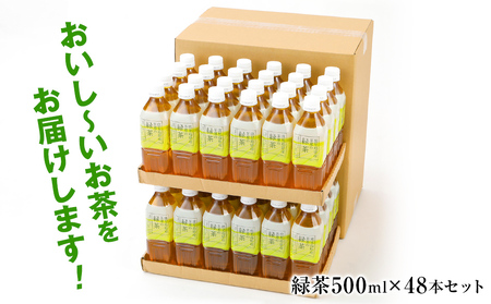 お茶 ペットボトル 【定期便】緑茶(500ml×48本)を2か月に1回合計3回お届け