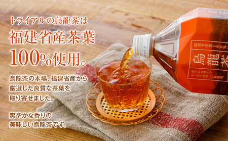 【定期便2カ月に1回、計3回】 お茶 ペットボトル 満載セット（緑茶2L×6本、500ml×24本・烏龍2L×6本） お茶