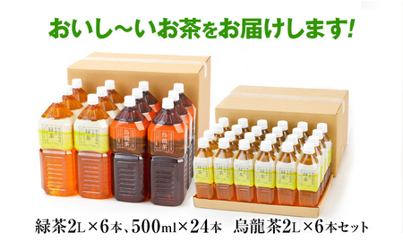 【定期便2カ月に1回、計3回】 お茶 ペットボトル 満載セット（緑茶2L×6本、500ml×24本・烏龍2L×6本） お茶
