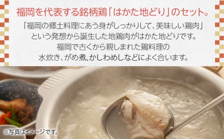 はかた地どり モモ・ムネ肉 合計500g 塩胡椒付【化粧箱入】焼き鳥、焼き肉、すき焼き用