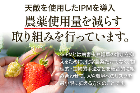 あまおう 約1100g（約275g×4パック） （先行受付／2025年3月下旬以降順次発送予定）いちご 苺 福岡高級 フルーツ お取り寄せ ご当地グルメ 福岡土産 取り寄せ グルメ 福岡県 食品 社会福祉法人 猪位金福祉会