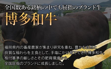 博多和牛ヒレシャトーブリアンステーキ　5枚　計1kg（200g×5枚）