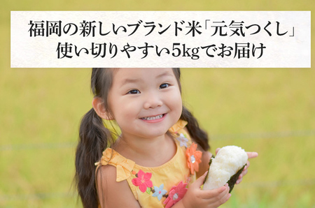  令和5年産　福岡県産ブランド米「元気つくし」無洗米　5kg