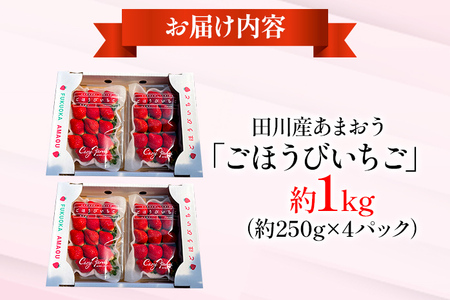 あまおう ごほうびいちご 約1kg（約250g×4パック） ＜2025年1月以降順次発送予定＞ いちご 苺 高品質 完熟 フルーツ 果物 お取り寄せ ご当地グルメ 福岡土産 取り寄せ グルメ 福岡県 食品