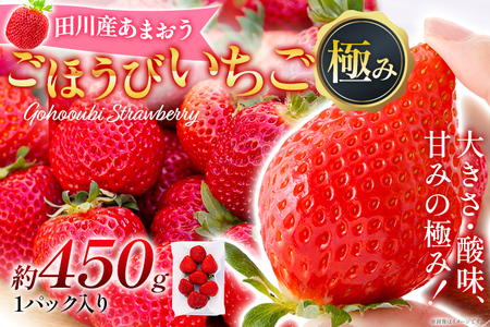 あまおう ごほうびいちご 極み 田川産あまおう 450g ＜2025年1月以降順次発送予定＞ あまおう いちご 苺 大粒 フルーツ 果物 お取り寄せ ご当地グルメ 福岡土産 取り寄せ グルメ 福岡県 食品