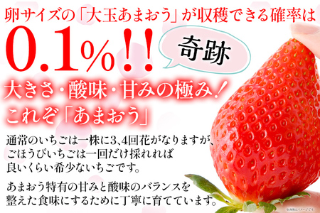 あまおう ごほうびいちご 極み 田川産あまおう 450g ＜2025年1月以降順次発送予定＞ あまおう いちご 苺 大粒 フルーツ 果物 お取り寄せ ご当地グルメ 福岡土産 取り寄せ グルメ 福岡県 食品