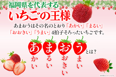 あまおう ごほうびいちご 極み 田川産あまおう 450g ＜2025年1月以降順次発送予定＞ あまおう いちご 苺 大粒 フルーツ 果物 お取り寄せ ご当地グルメ 福岡土産 取り寄せ グルメ 福岡県 食品