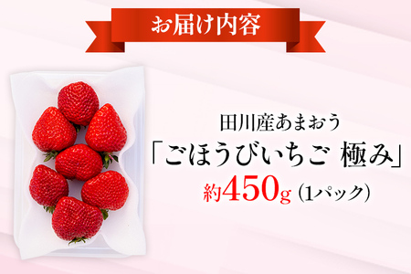 あまおう ごほうびいちご 極み 田川産あまおう 450g ＜2025年1月以降順次発送予定＞ あまおう いちご 苺 大粒 フルーツ 果物 お取り寄せ ご当地グルメ 福岡土産 取り寄せ グルメ 福岡県 食品