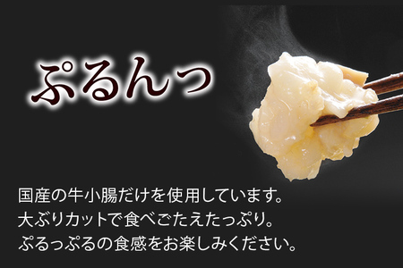 やまや 博多もつ鍋 あごだし醤油味(3~4人前)