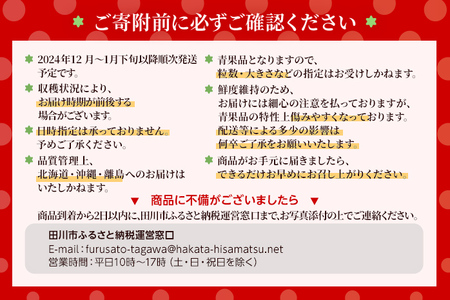 【先行受付】農家直送 朝採り新鮮いちご【博多あまおう】＜12月より順次発送＞ 約270g×4パック 福岡県産 苺 イチゴ 朝採れ 冷蔵 スイーツ ジュース ギフト プレゼント お土産 九州 福岡土産 ※北海道・沖縄・離島は配送不可