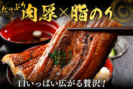 鹿児島県産うなぎ蒲焼き 約400g（約200g×2尾）