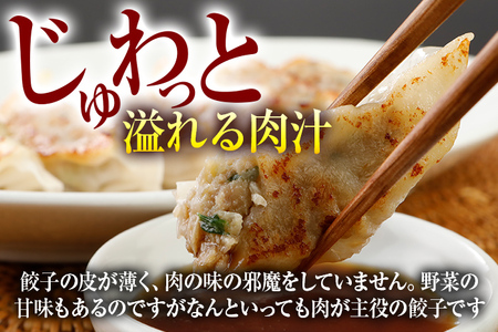 博多和牛 手作り餃子 20個×4パック