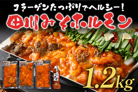 田川みそホルモン 1.2kg 400g×3パック 味噌だれ500ml×1本 しま腸