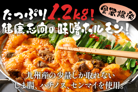 田川みそホルモン 1.2kg 400g×3パック 味噌だれ500ml×1本 しま腸