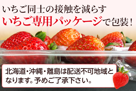 先行受付】あまおう 農家直送 朝採り新鮮いちご 約270g×2パック＜2024年1月下旬より順次発送＞ | 福岡県田川市 |  ふるさと納税サイト「ふるなび」