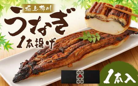 極上柳川うなぎの1本揚げ