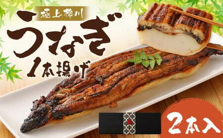 極上柳川うなぎ一本揚げ (2本セット)