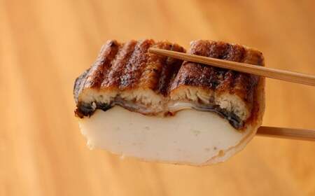 極上柳川うなぎ一本揚げ (2本セット)