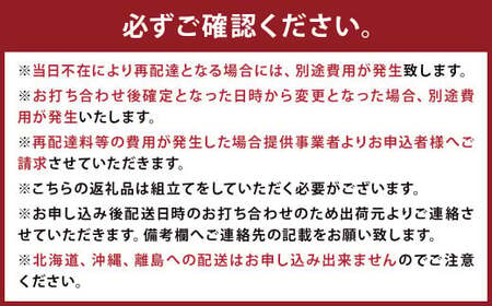 【 受注生産 】 国産杉を使った ボーダーDYベッド シングル 【 すのこベッド 】